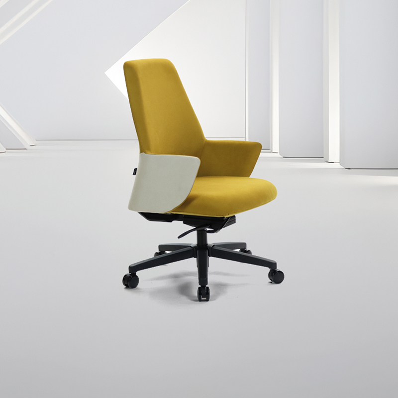 ARIS EXECUTIVE